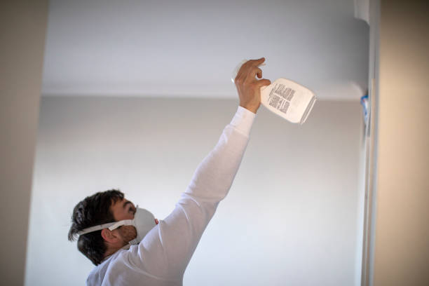 Best Mold Removal Near Me  in Sheldon, IL